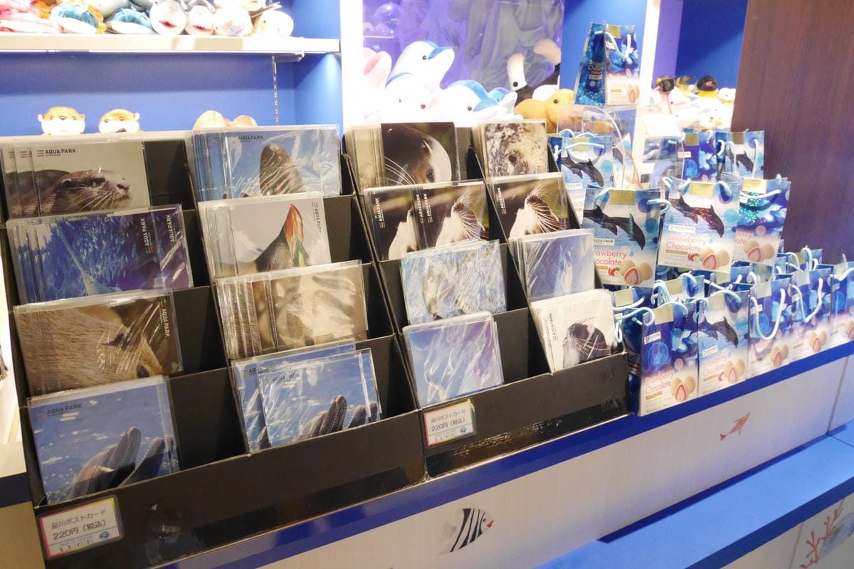 P1430109_副本.jpg P1430109_副本.jpg