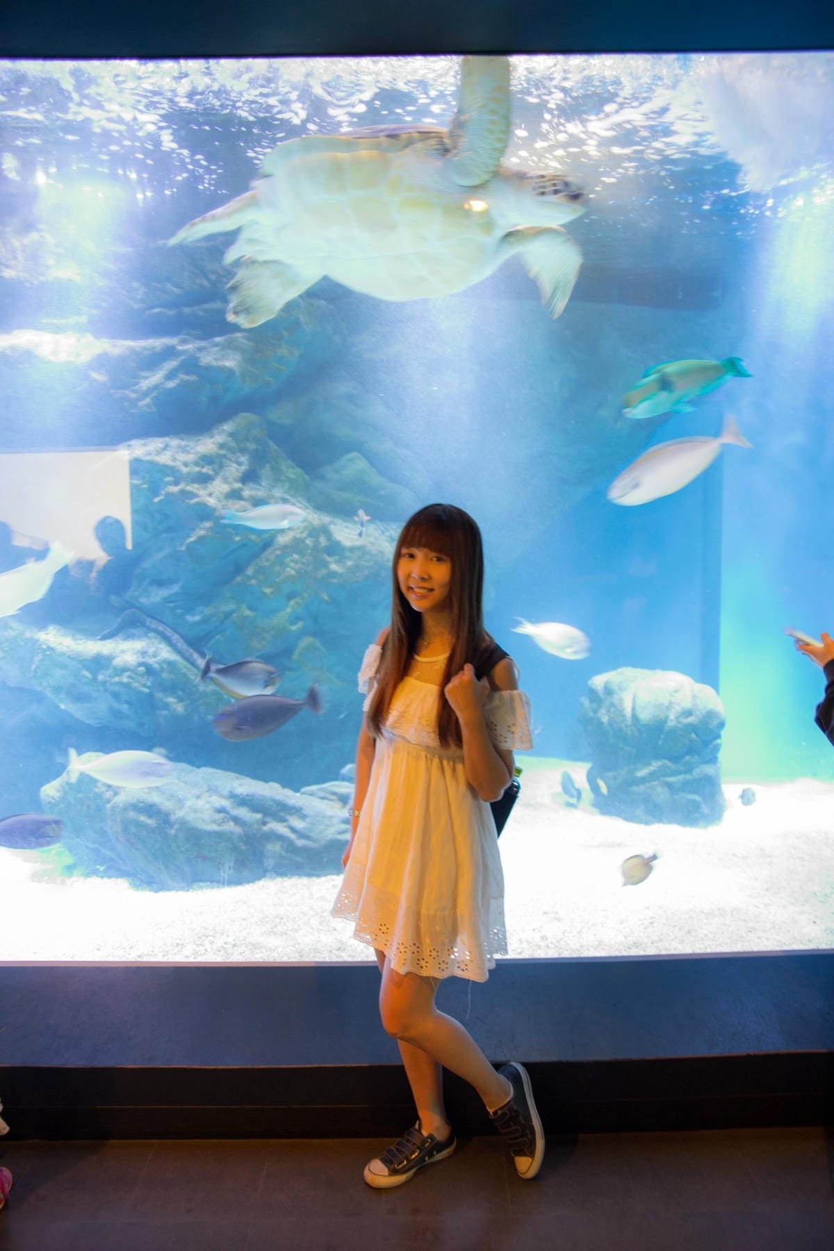 DSC08370_副本.jpg DSC08370_副本.jpg