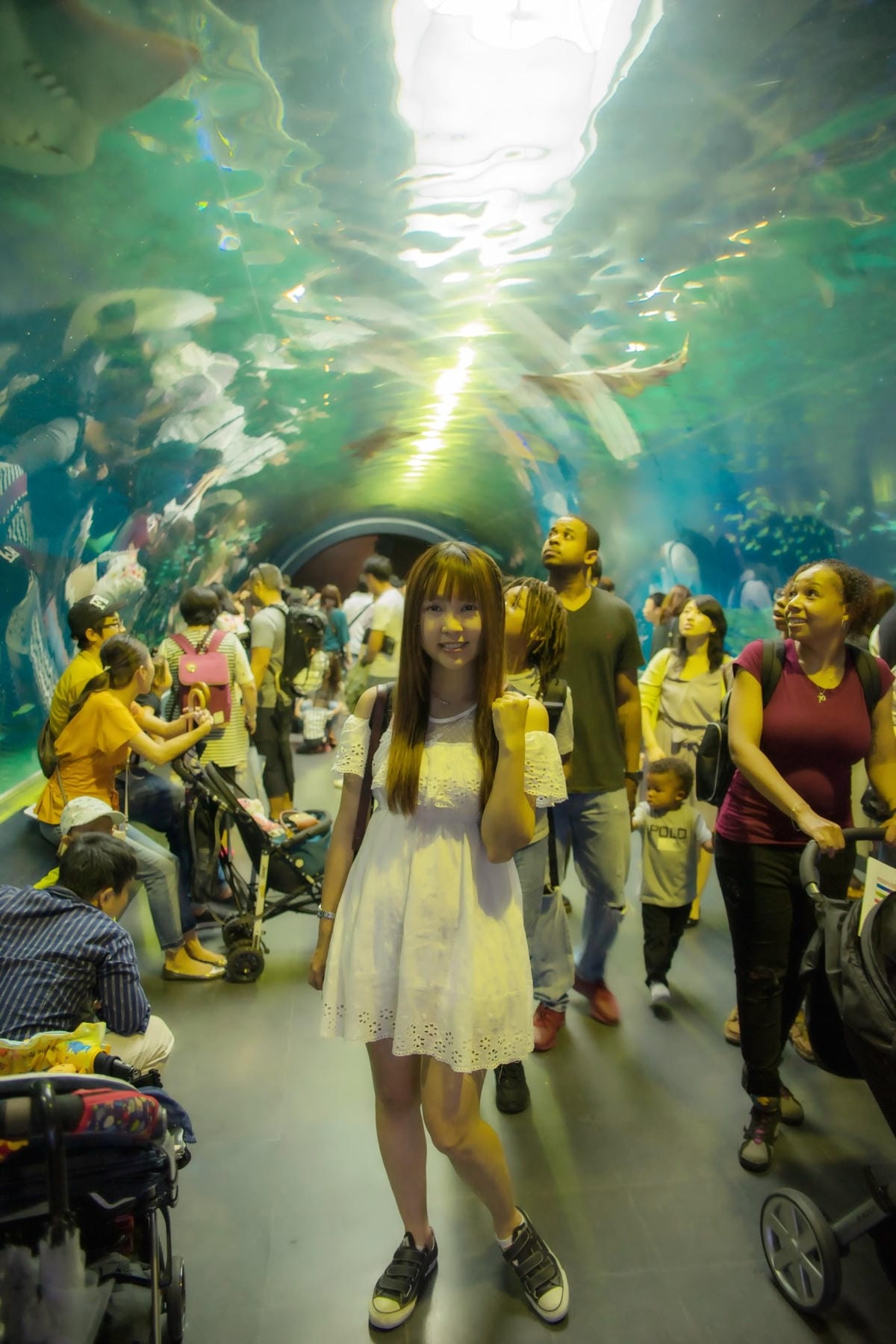 DSC08367_副本.jpg DSC08367_副本.jpg