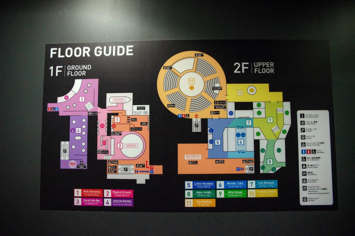 東京品川水族館 Aqua Park— 五彩繽紛海豚表演/水母漫步/可愛企鵝表演 - 第14張圖 東京品川水族館 Aqua Park— 五彩繽紛海豚表演/水母漫步/可愛企鵝表演