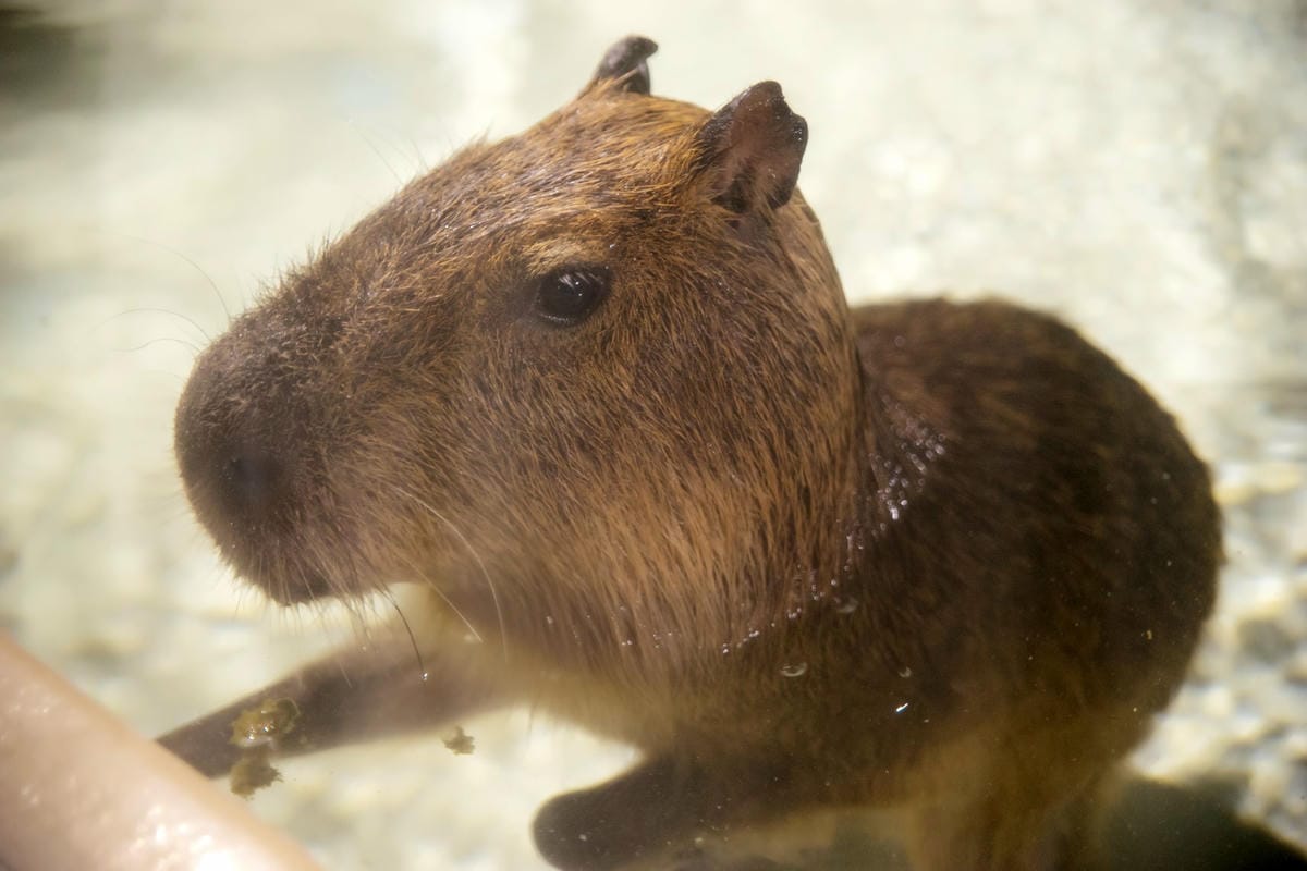 DSC08290_副本.jpg DSC08290_副本.jpg