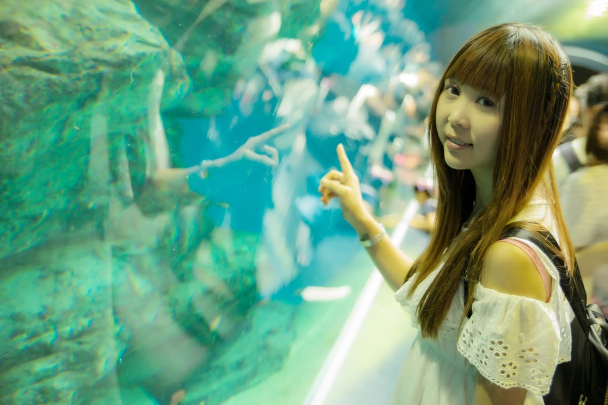 DSC08251_副本.jpg DSC08251_副本.jpg