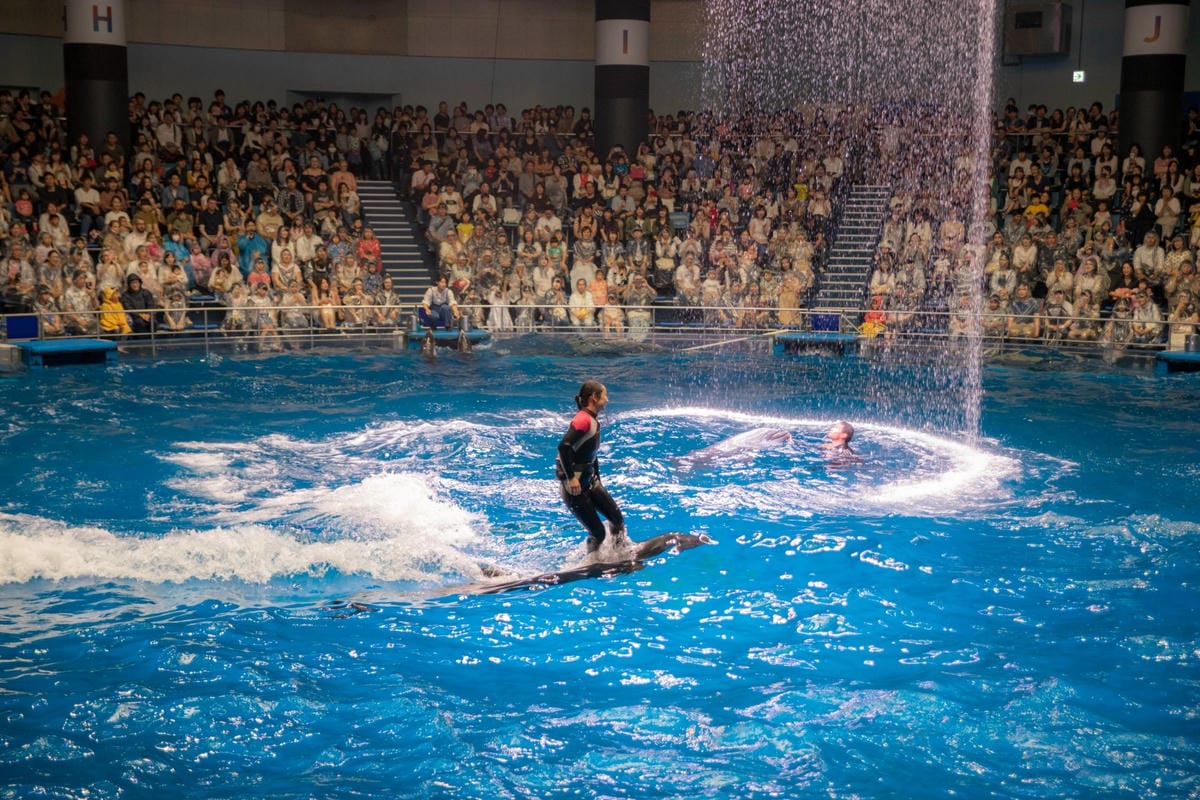 DSC08194_副本.jpg DSC08194_副本.jpg