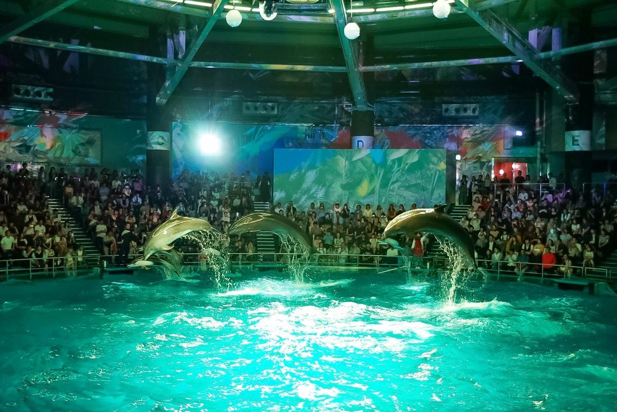 PSX_20180623_195312_副本_副本.jpg PSX_20180623_195312_副本_副本.jpg