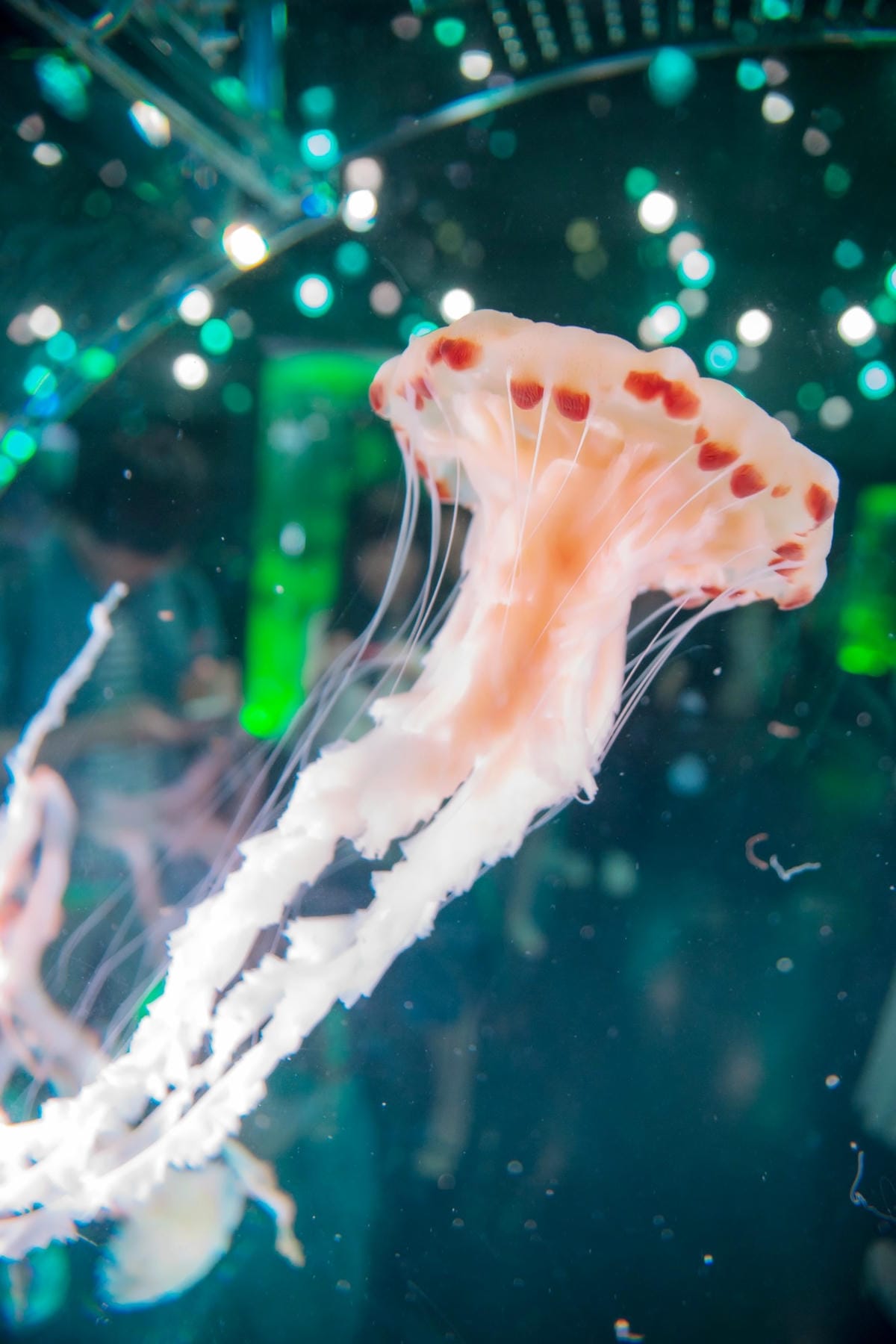 DSC08413_副本.jpg DSC08413_副本.jpg