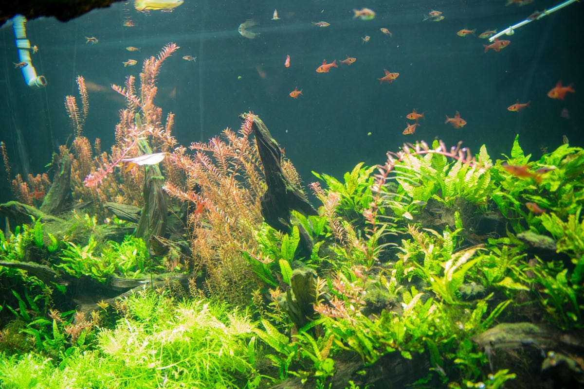 DSC08274_副本.jpg DSC08274_副本.jpg