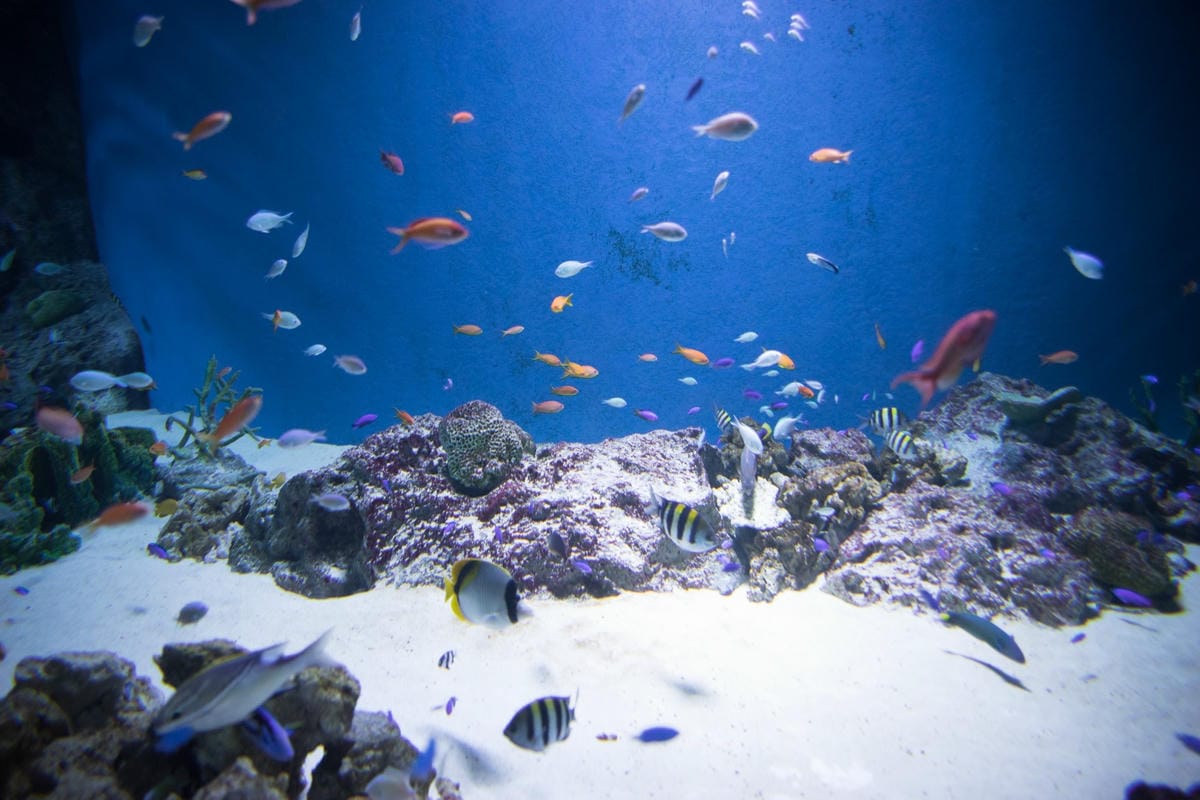 DSC08230_副本.jpg DSC08230_副本.jpg