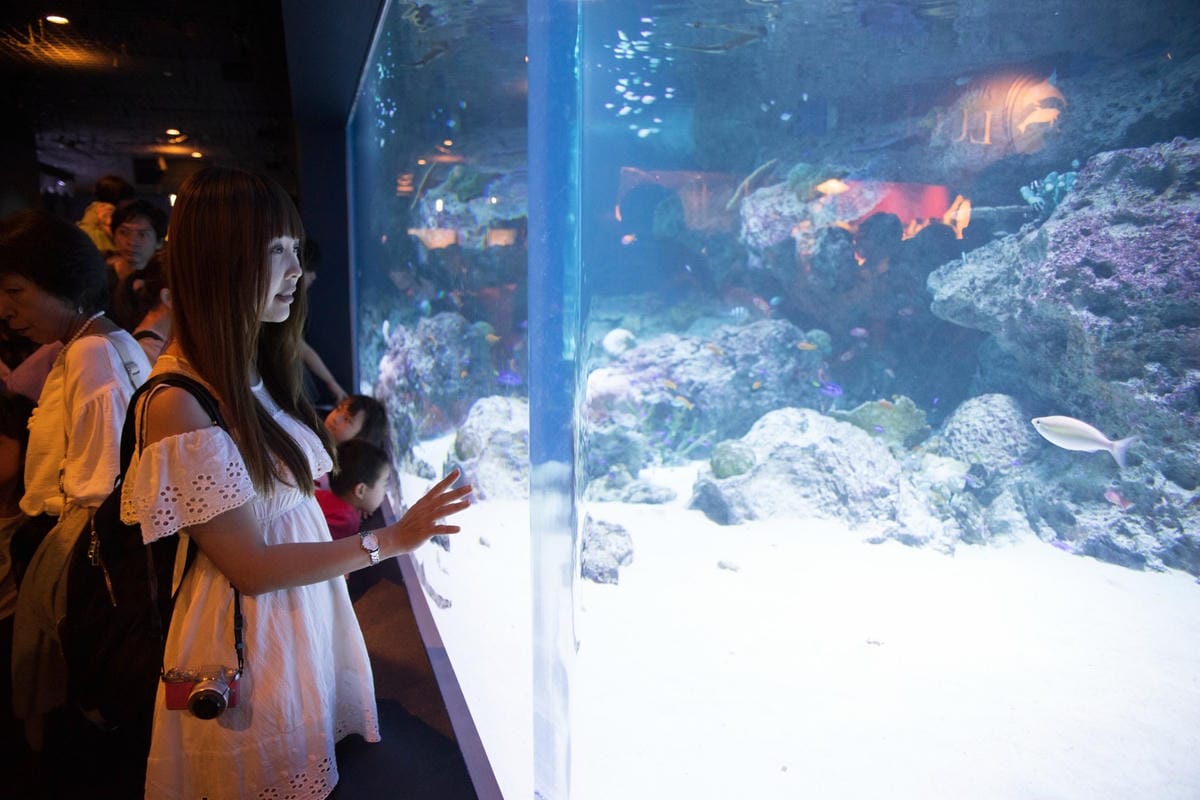 DSC08235_副本.jpg DSC08235_副本.jpg