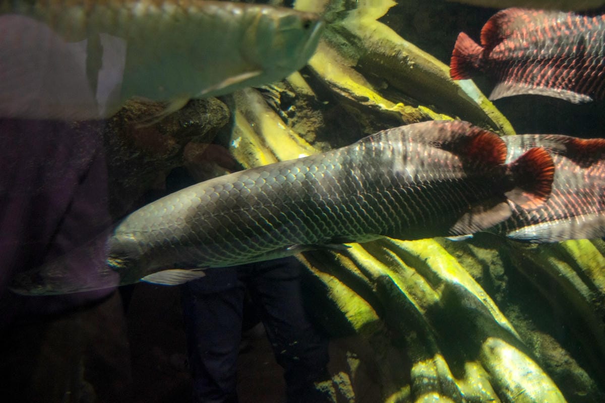 DSC08272_副本.jpg DSC08272_副本.jpg