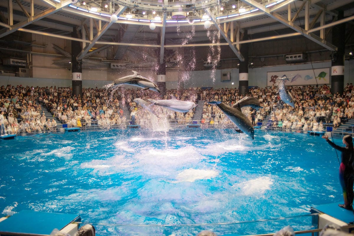 DSC08215_副本.jpg DSC08215_副本.jpg