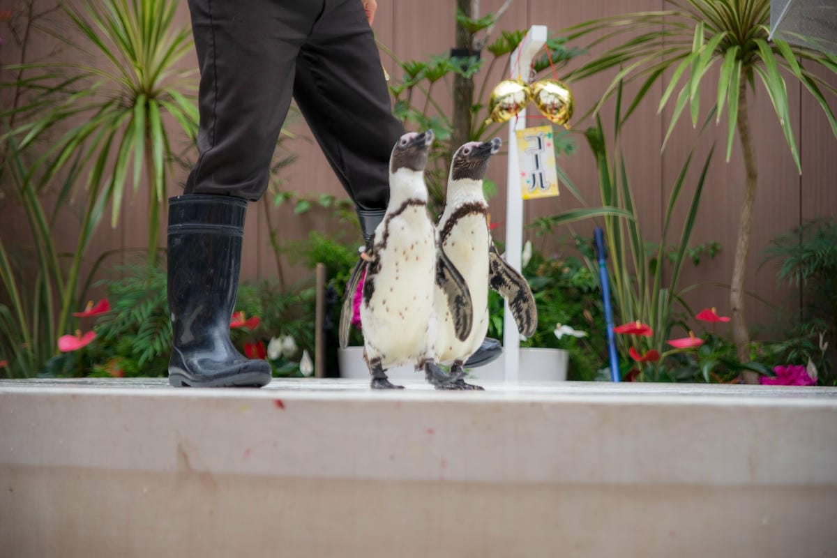 DSC08174_副本.jpg DSC08174_副本.jpg