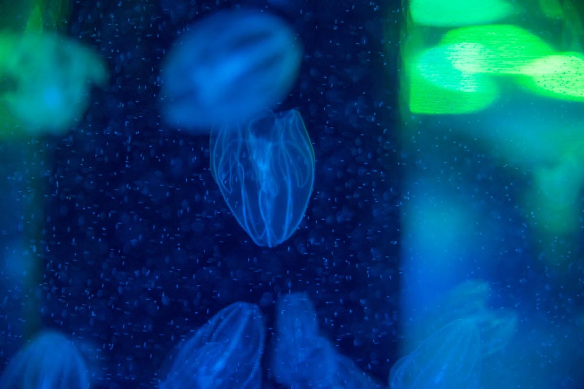 DSC08417_副本.jpg DSC08417_副本.jpg