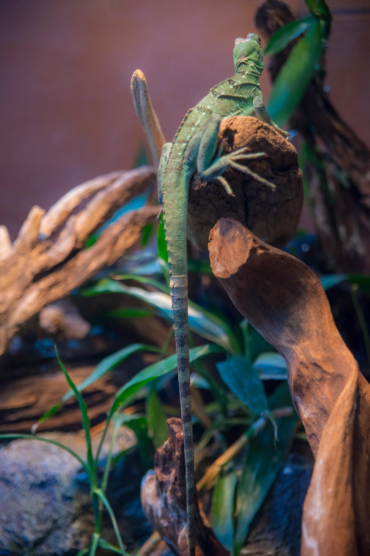 DSC08270_副本.jpg DSC08270_副本.jpg