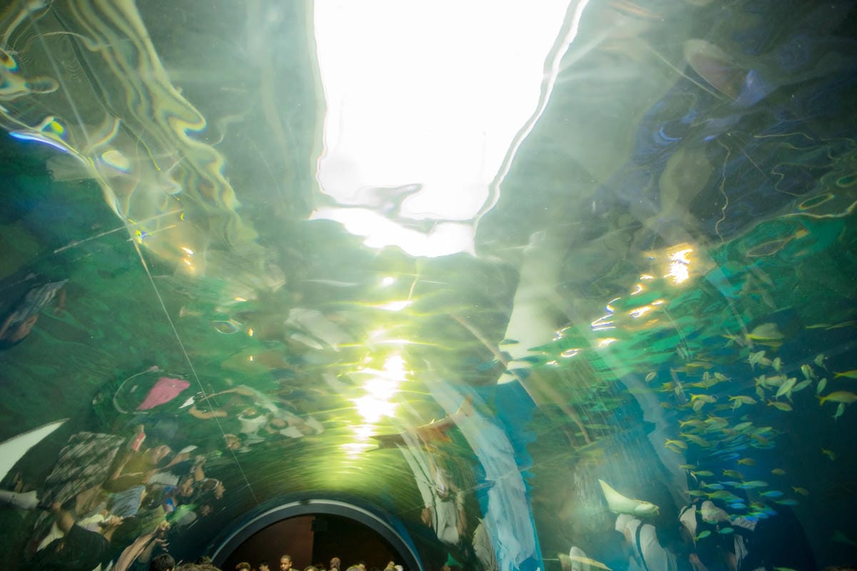 DSC08366_副本.jpg DSC08366_副本.jpg