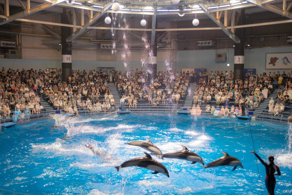 DSC08160_副本.jpg DSC08160_副本.jpg