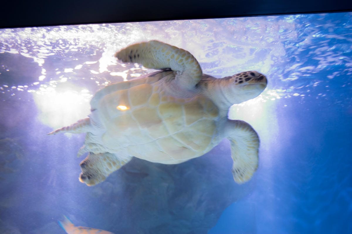 DSC08256_副本.jpg DSC08256_副本.jpg