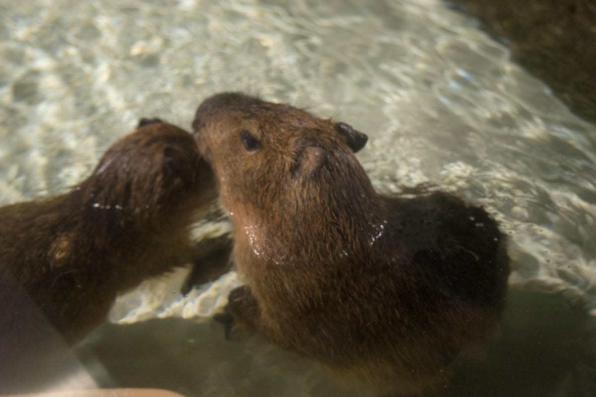 DSC08281_副本.jpg DSC08281_副本.jpg