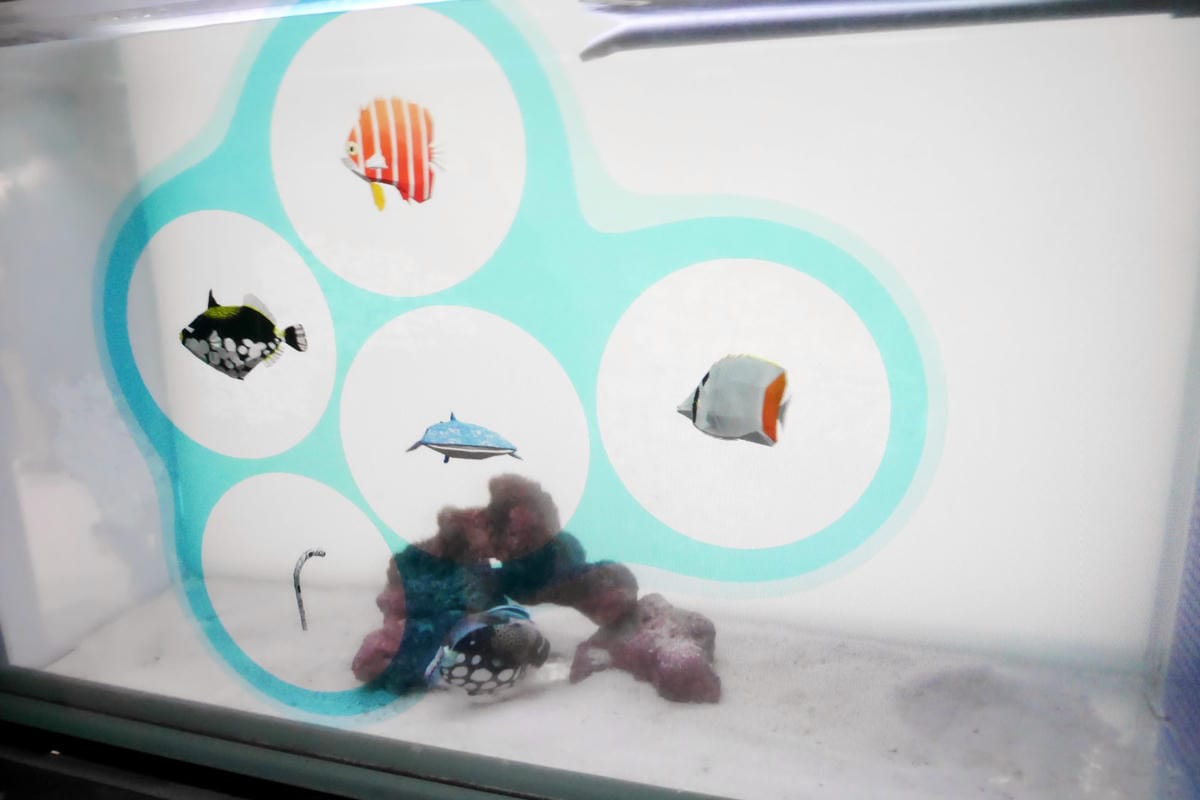 P1430128_副本.jpg P1430128_副本.jpg