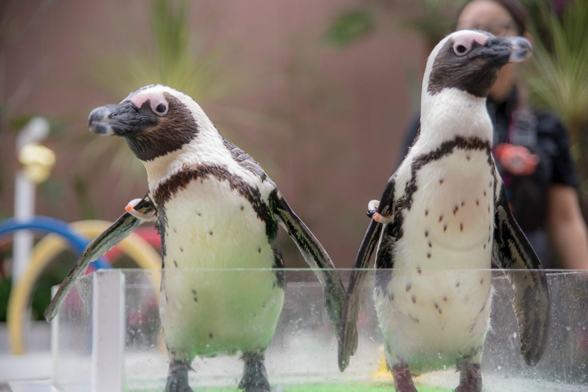 DSC08164_副本.jpg DSC08164_副本.jpg