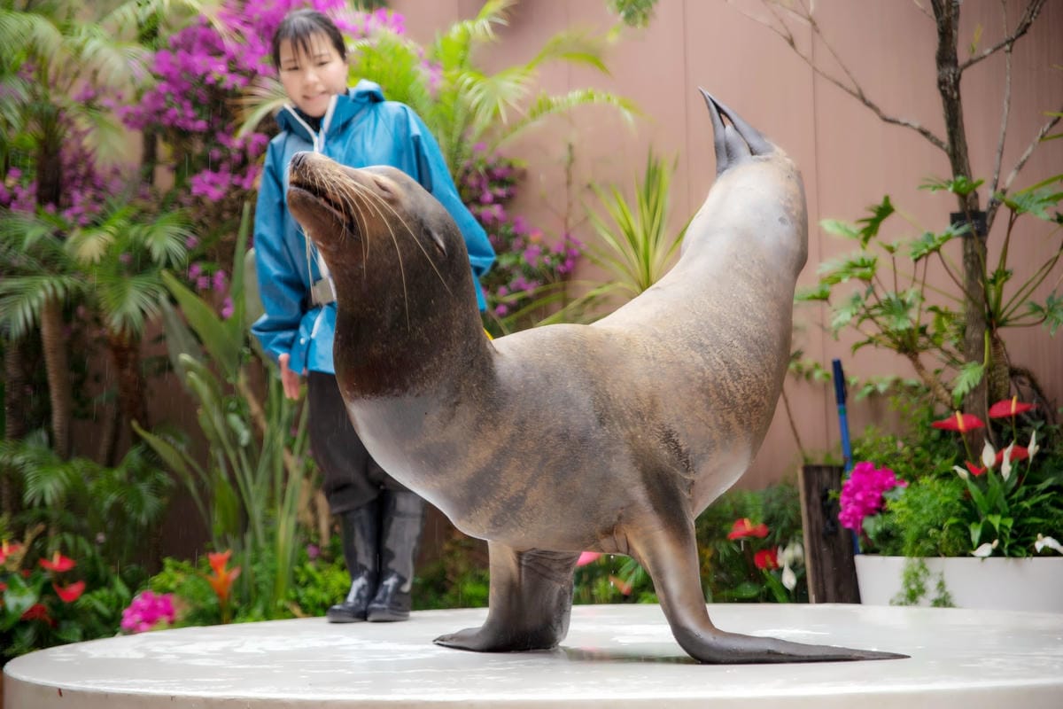 DSC08308_副本.jpg DSC08308_副本.jpg