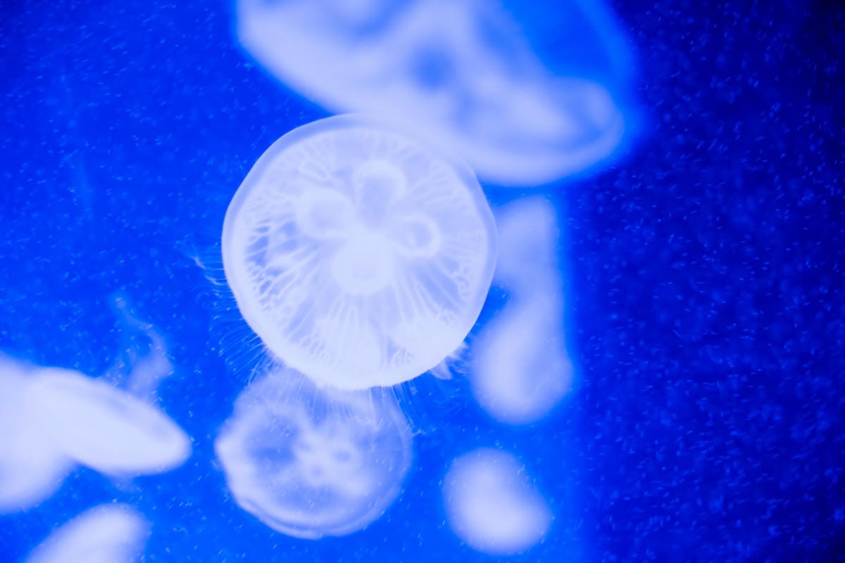 DSC08405_副本.jpg DSC08405_副本.jpg