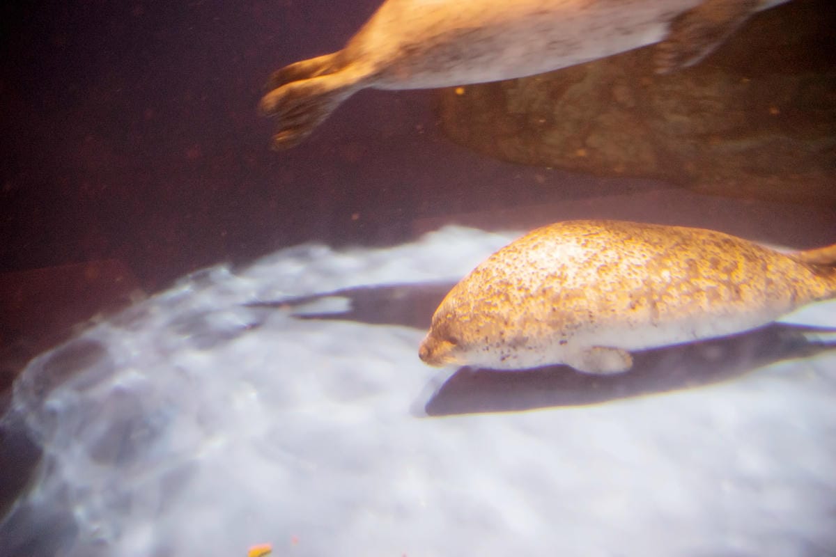 DSC08376_副本.jpg DSC08376_副本.jpg