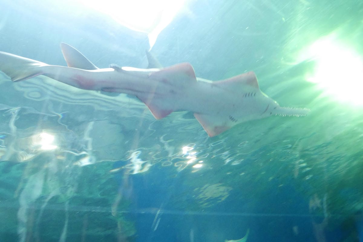 P1430047_副本.jpg P1430047_副本.jpg