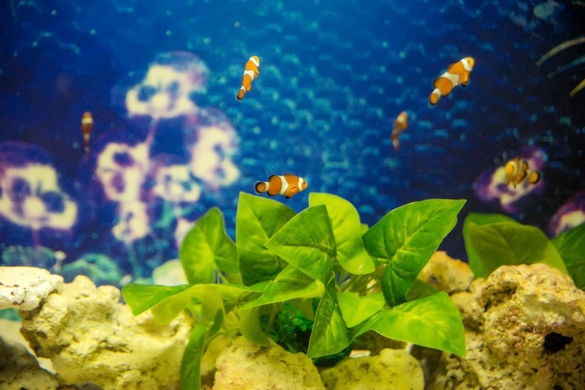 DSC08424_副本.jpg DSC08424_副本.jpg