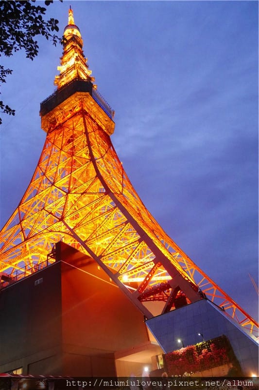 P1450642_副本.jpg P1450642_副本.jpg