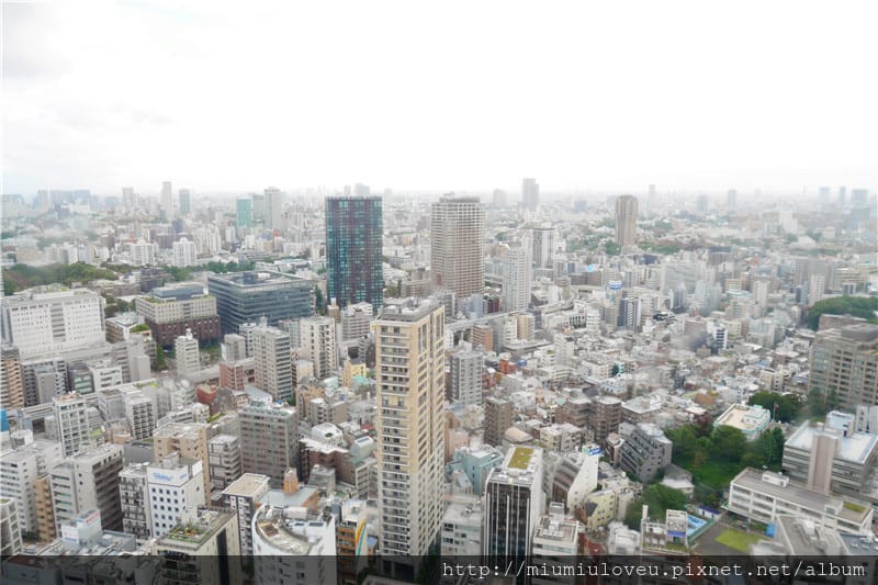 P1450426_副本.jpg P1450426_副本.jpg