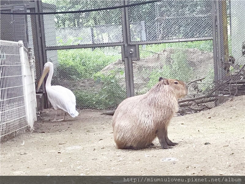 IMG_3592_副本.jpg IMG_3592_副本.jpg