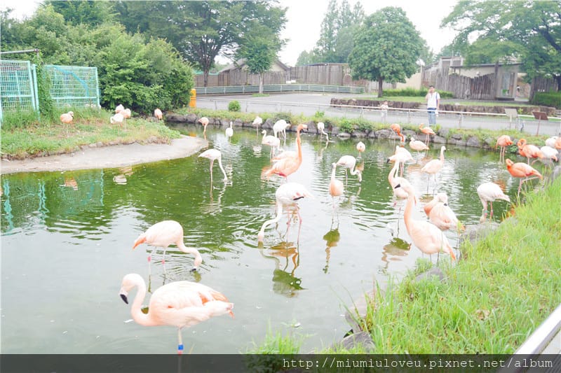 P1460948_副本.jpg P1460948_副本.jpg