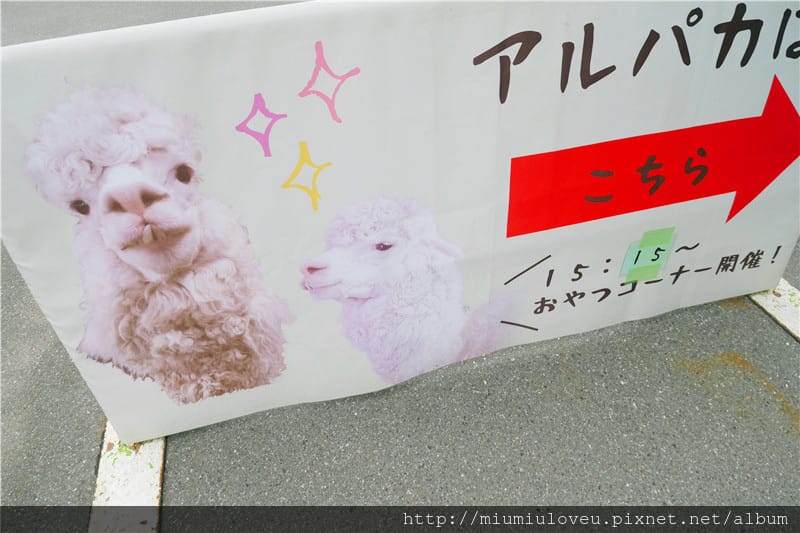 P1460998_副本.jpg P1460998_副本.jpg