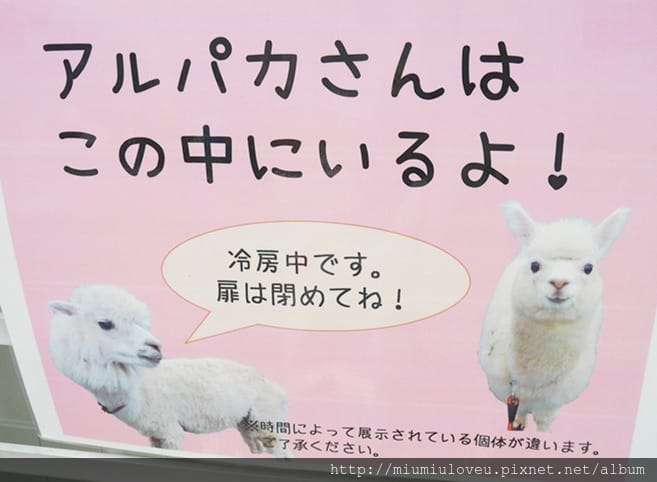 P1460999_副本.jpg P1460999_副本.jpg