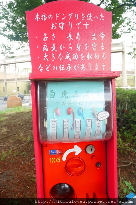 P1460967_副本.jpg P1460967_副本.jpg