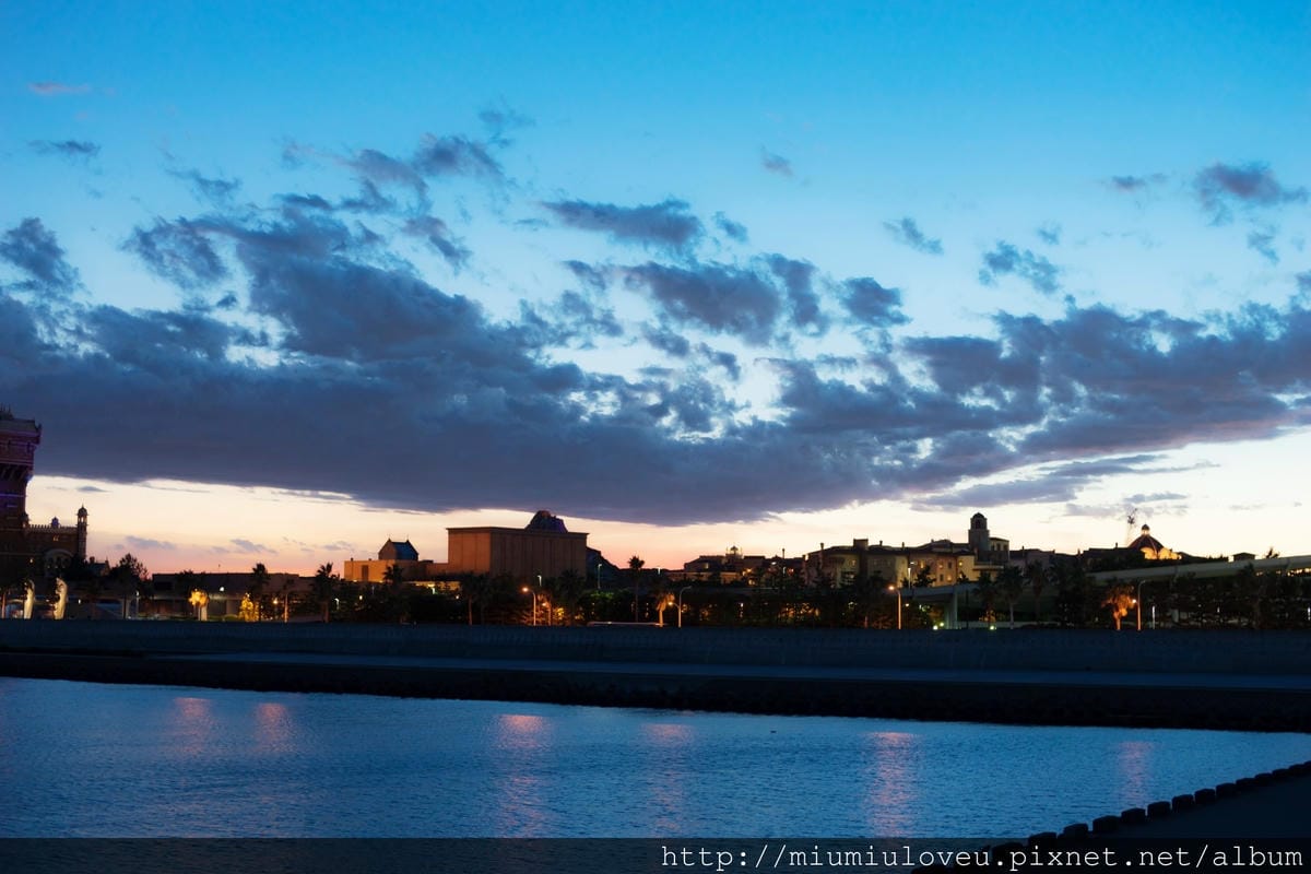 DSC01980.jpg DSC01980.jpg