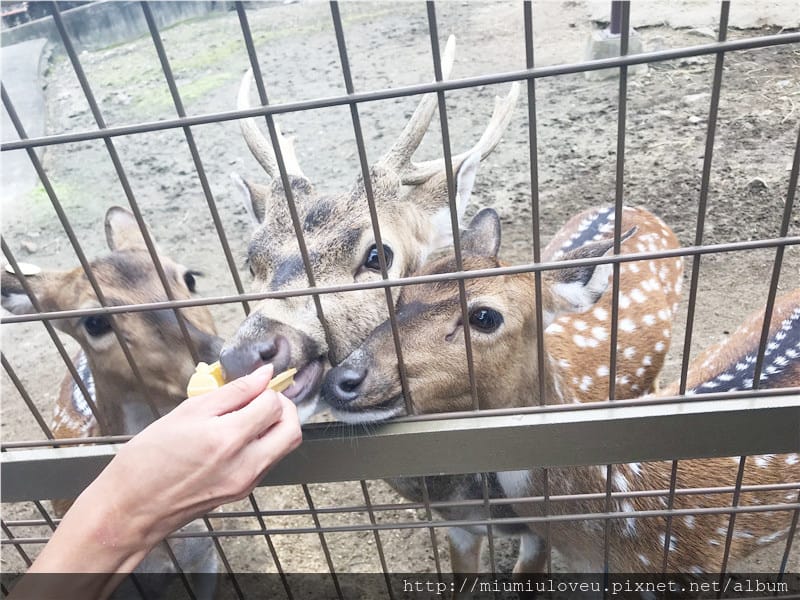 IMG_3566_副本.jpg IMG_3566_副本.jpg