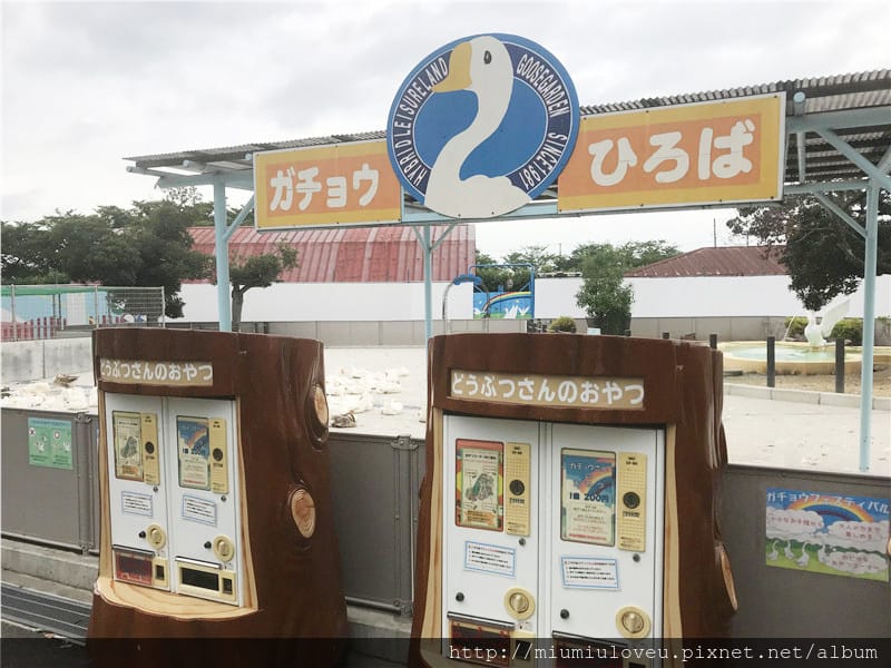 IMG_3594_副本.jpg IMG_3594_副本.jpg