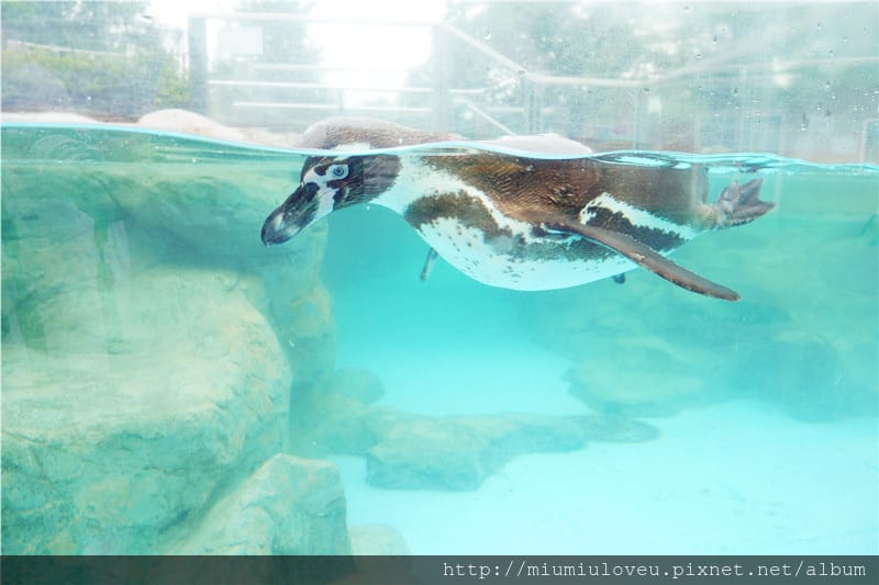 P1470012_副本.jpg P1470012_副本.jpg