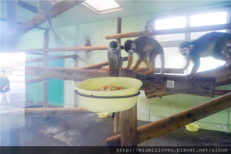 P1470032_副本.jpg P1470032_副本.jpg