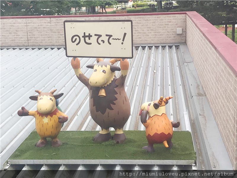 IMG_3638_副本.jpg IMG_3638_副本.jpg