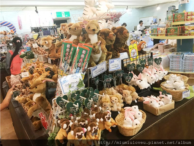 IMG_3665_副本.jpg IMG_3665_副本.jpg