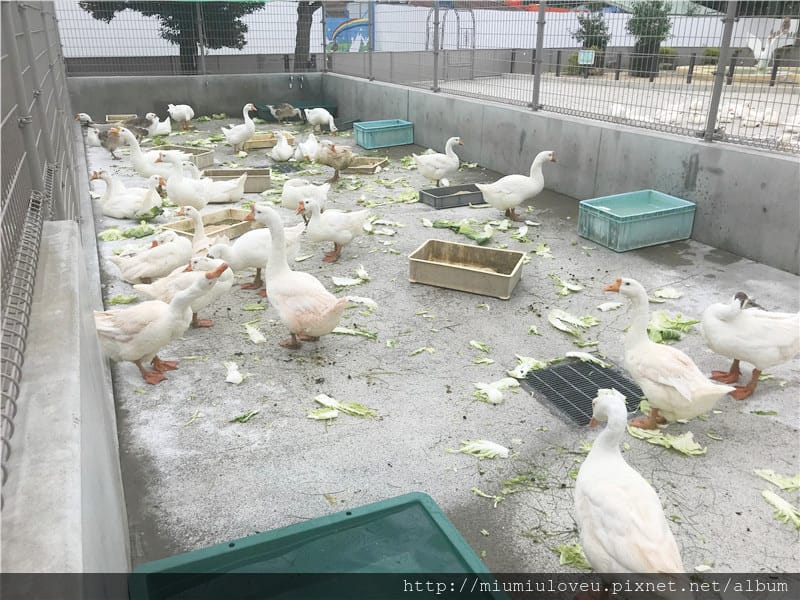 IMG_3593_副本.jpg IMG_3593_副本.jpg