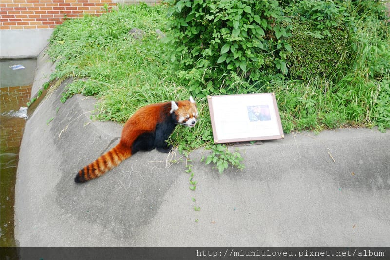 P1470021_副本.jpg P1470021_副本.jpg