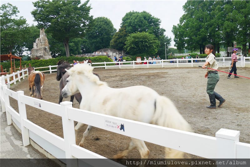 P1470007_副本.jpg P1470007_副本.jpg