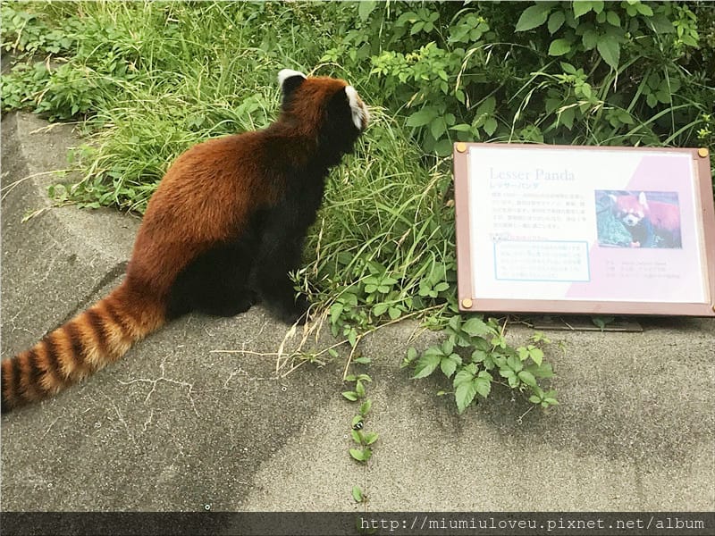 IMG_3576_副本.jpg IMG_3576_副本.jpg