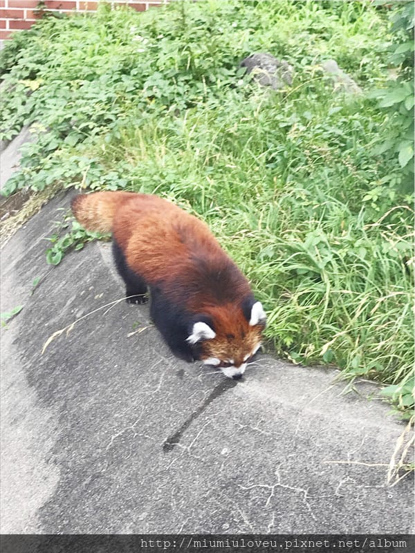 IMG_3575_副本.jpg IMG_3575_副本.jpg