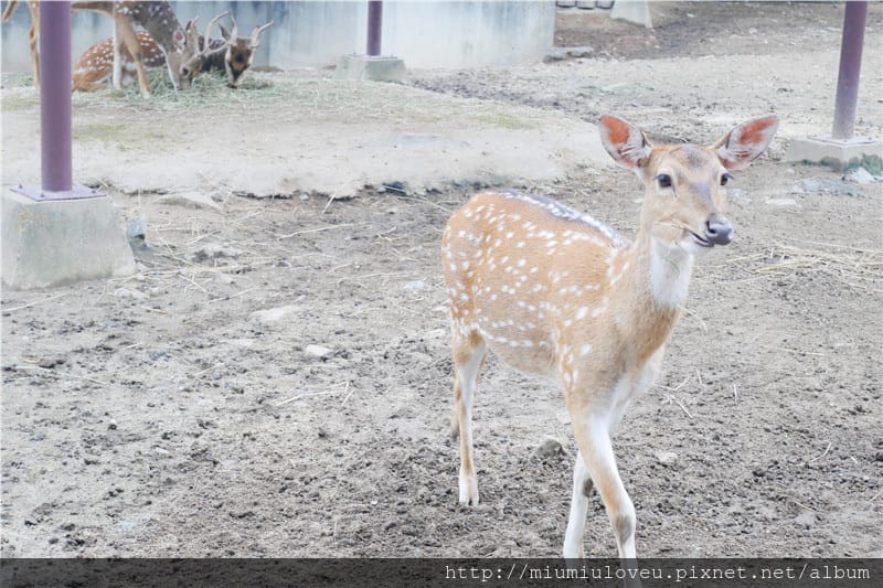 P1460977_副本.jpg P1460977_副本.jpg