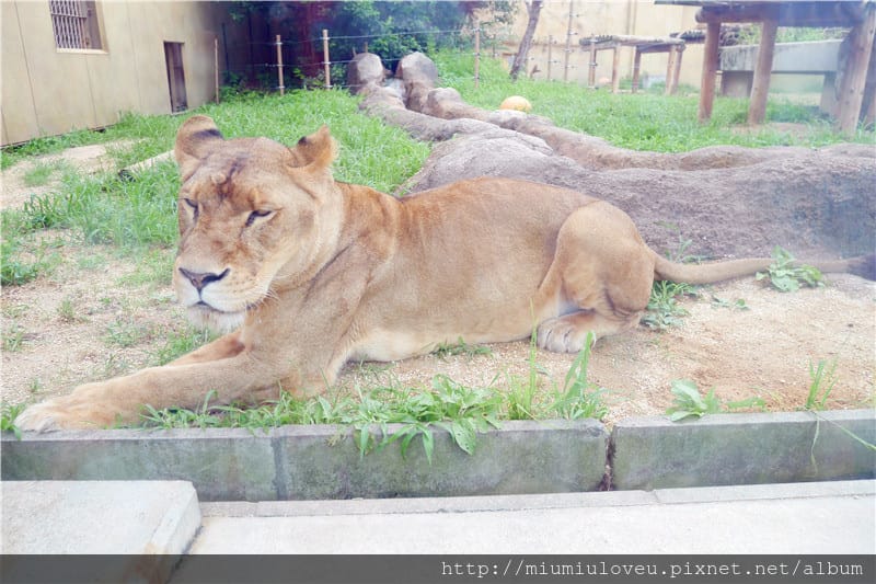 P1460962_副本.jpg P1460962_副本.jpg