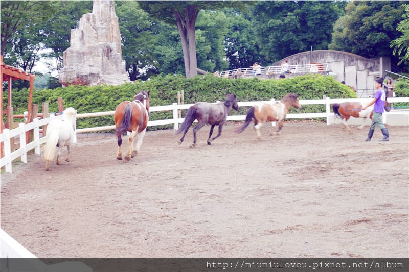 P1470011_副本.jpg P1470011_副本.jpg